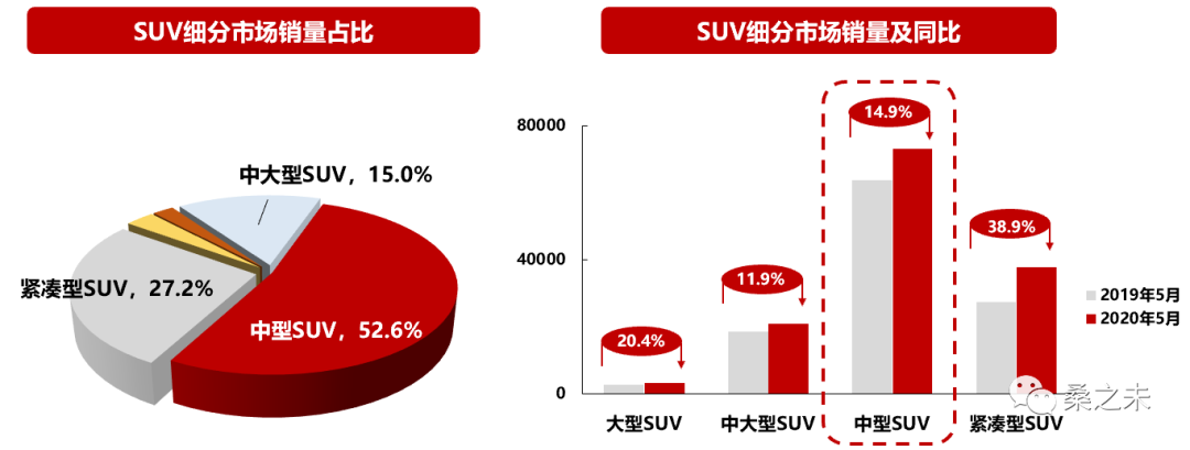 suv细分市场5月销量占比及同比